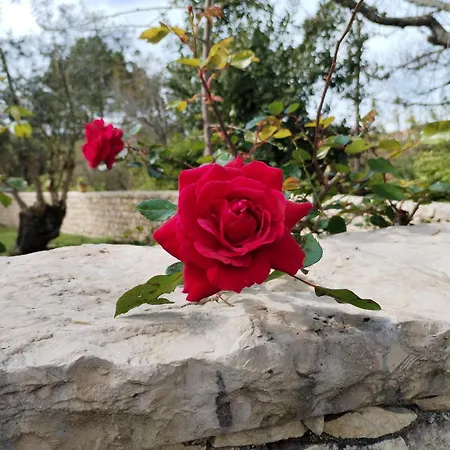 Mountain View 2 Bedroom