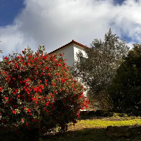 Mountain View 2 Bedroom Hébergement de vacances *